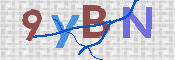 Image Anti-spam